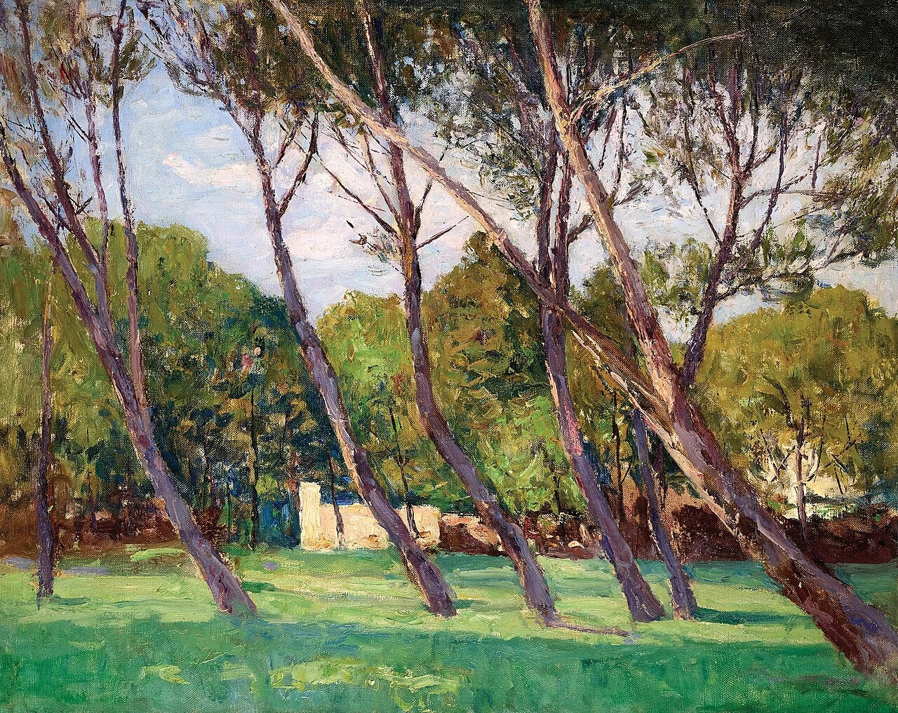 Gruppo di alberi nella Stiria meridionale